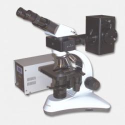МС 300 (FS).Флюоресцентный микроскоп