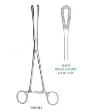   RAMPLEY 604379