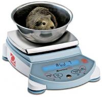    Adventurer Pro (RV1502)