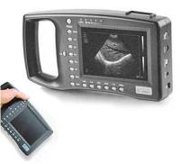   PalmHandle WED-2000A