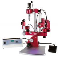   Paperino 2000 (P2000F.3)