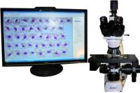   Plan/C/cmos2M24/xyz1/quad/24