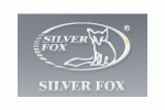 Silver Fox