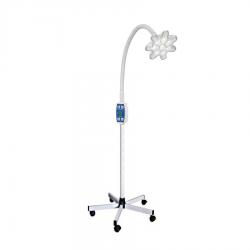 ����������� ���������� ���������������� ������ 100�, ���������������� ���������� ����������� - ���������������� ����������� ����������������